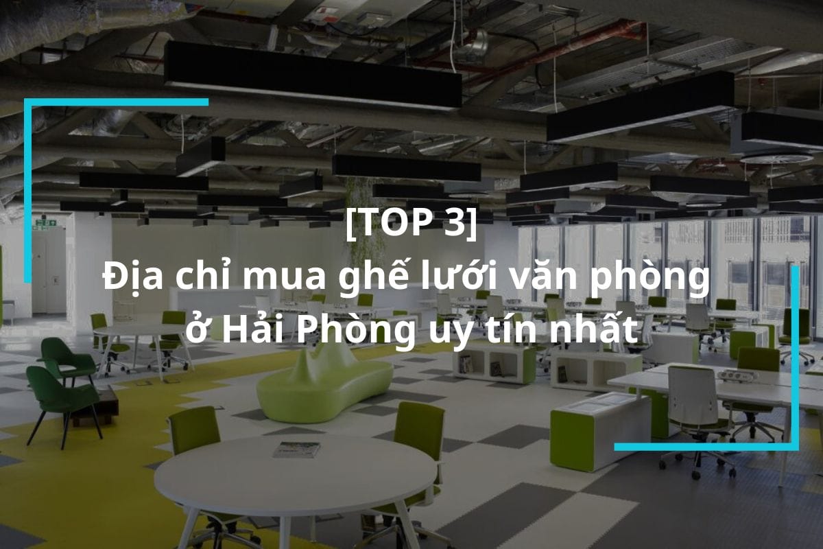 Địa chỉ mua ghế lưới văn phòng ở Hải Phòng