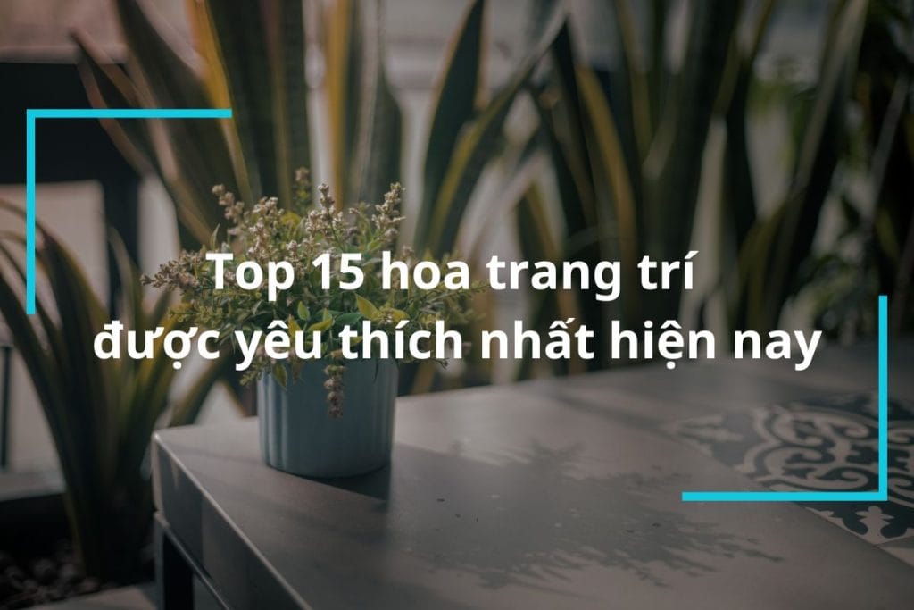Hoa trang trí
