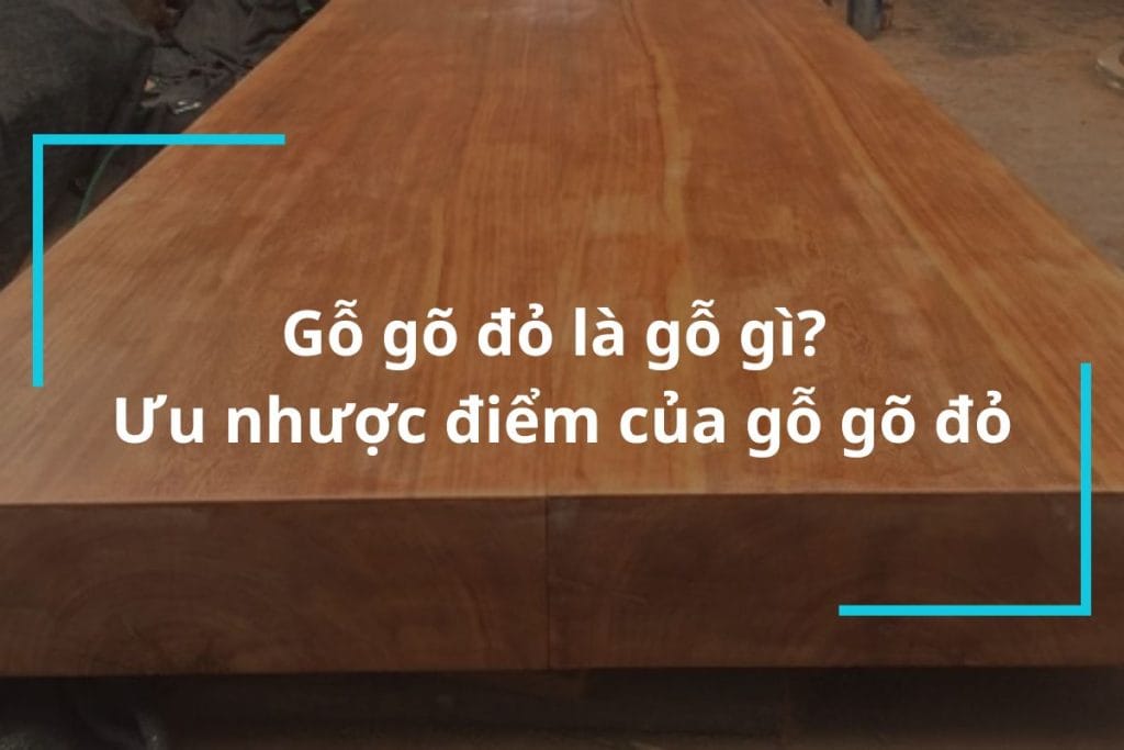 Gỗ gõ đỏ là gỗ gì