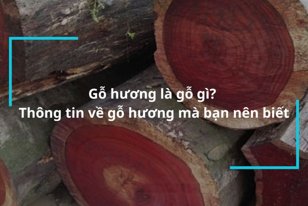 Gỗ hương là gỗ gì?