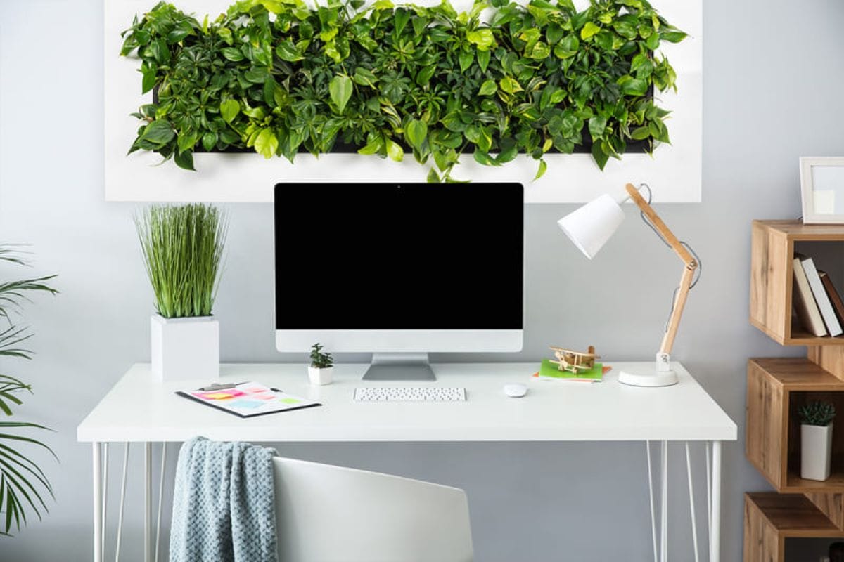 Lợi ích khi đặt cây phong thủy để bàn
