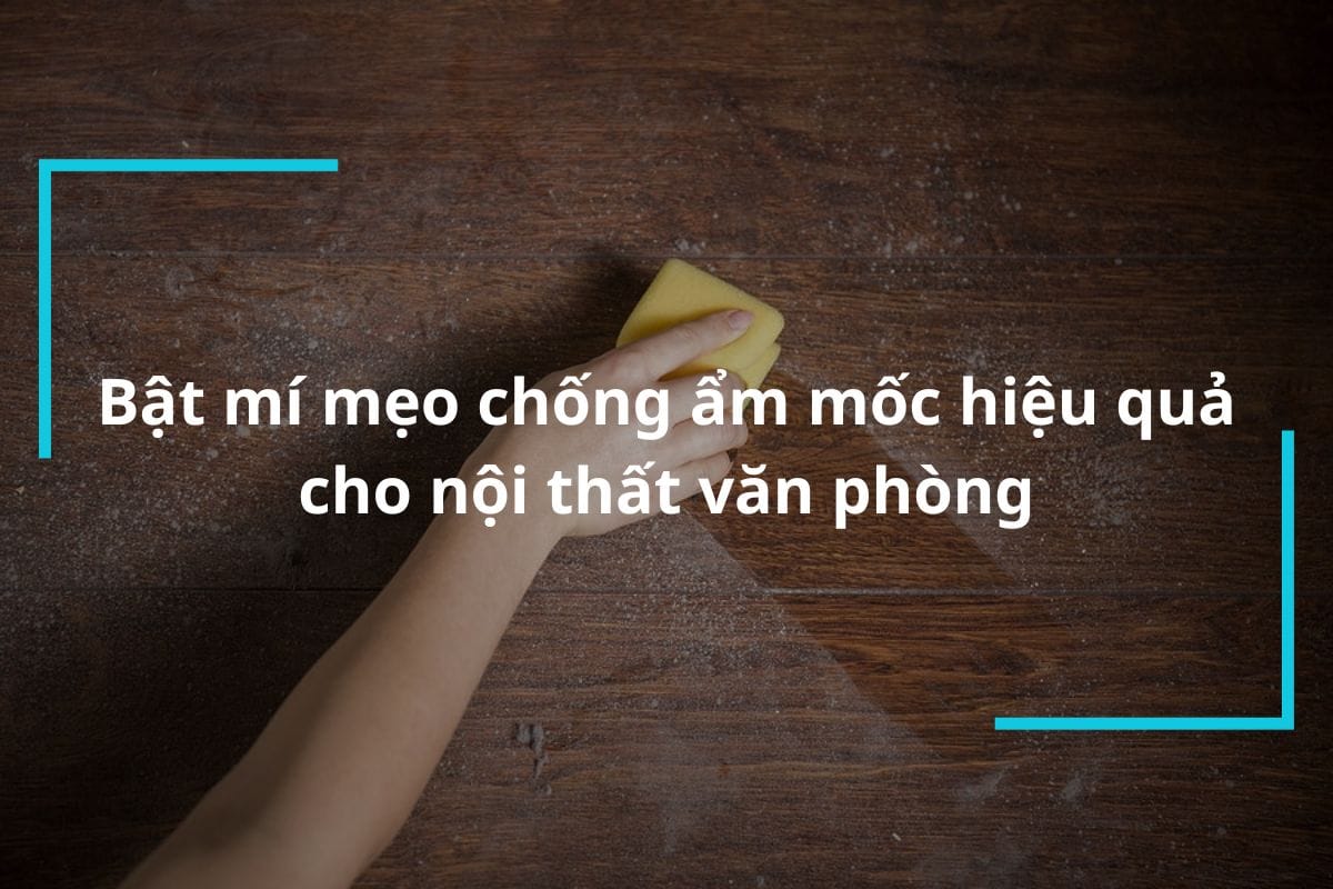 Mẹo chống ẩm mốc hiệu quả