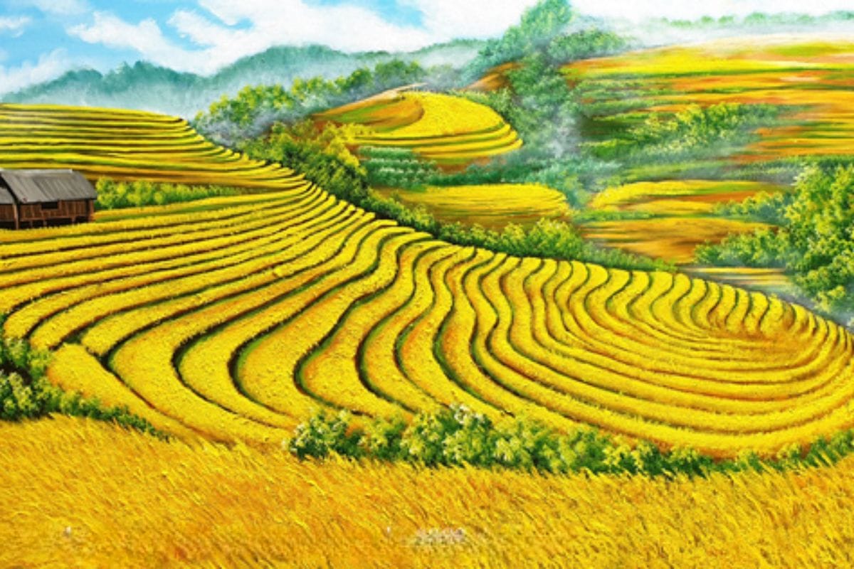 Tranh ruộng bậc thang treo phòng giám đốc