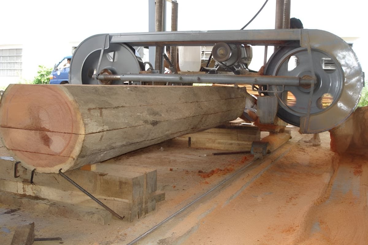 Xẻ gỗ sồi