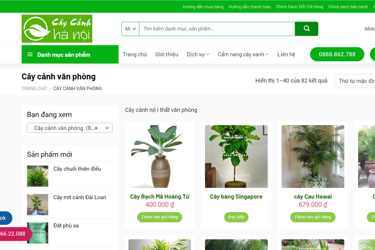 Cây cảnh Hà Nội - Địa chỉ mua cây để bàn giám đốc tuổi Sửu