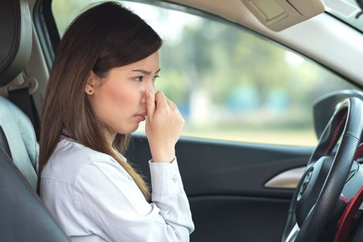 Da thật bị ngấm nước sẽ sinh ra mùi khó chịu