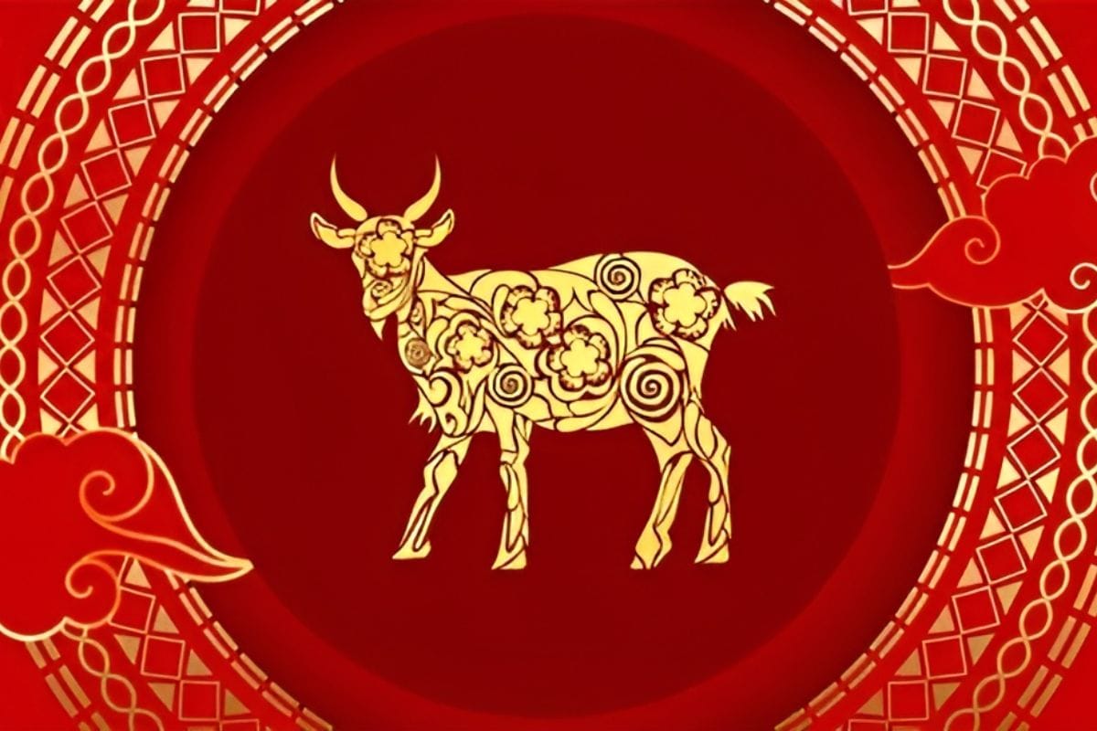 Lựa chọn ghế giám đốc cho người tuổi Đinh Mùi