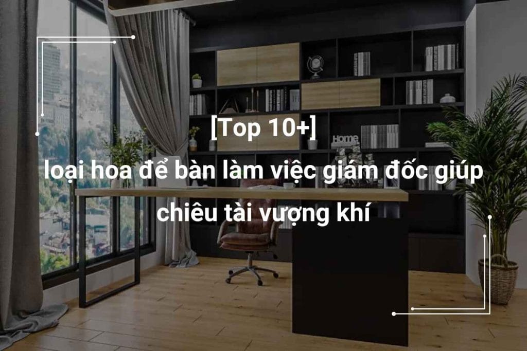 hoa để bàn làm việc giám đốc