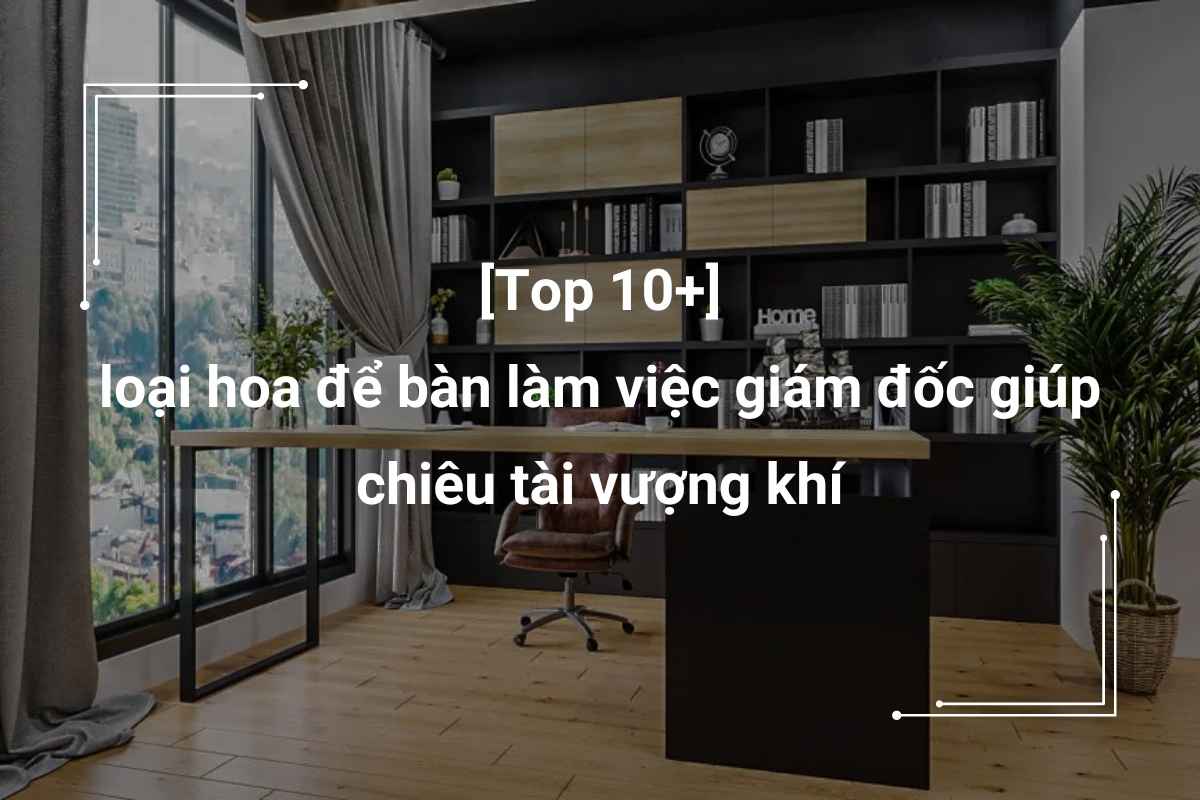 hoa để bàn làm việc giám đốc