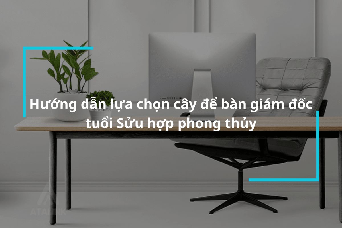 Hướng dẫn lựa chọn cây để bàn giám đốc tuổi Sửu