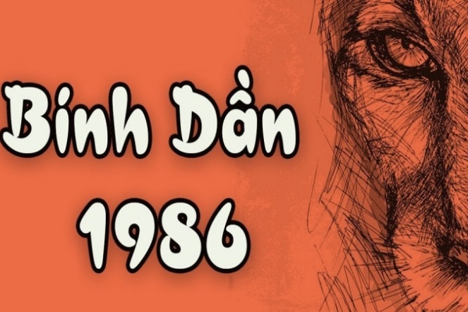 Lựa chọn cây để bàn giám đốc tuổi Bính Dần