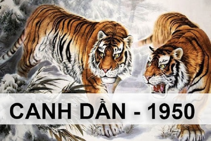 Lựa chọn cây để bàn giám đốc tuổi Canh Dần 