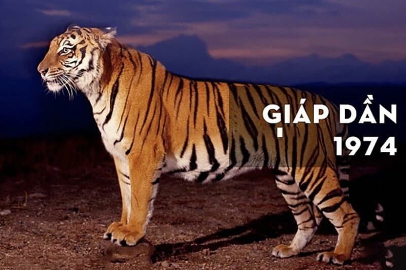 Lựa chọn cây để bàn giám đốc tuổi Giáp Dần 