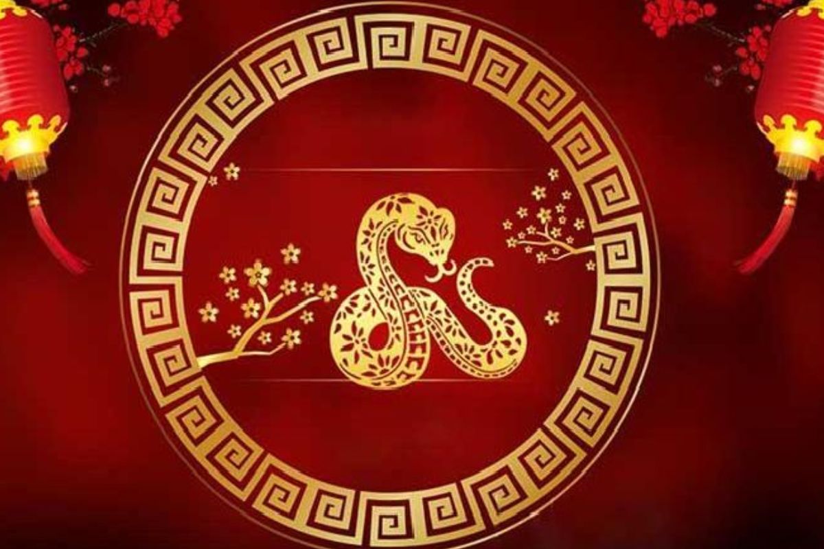 Lựa chọn ghế giám đốc cho người tuổi Đinh Tỵ