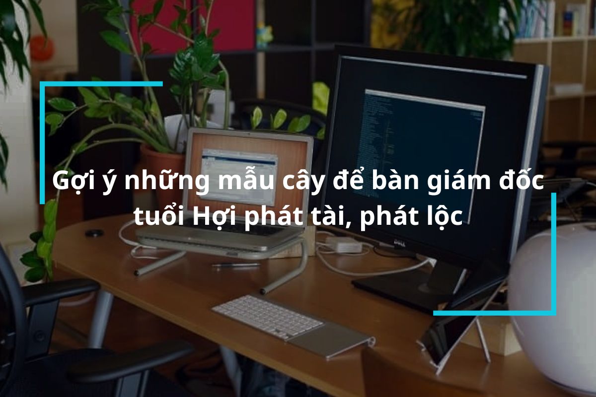 Mẫu cây để bàn giám đốc tuổi Hợi