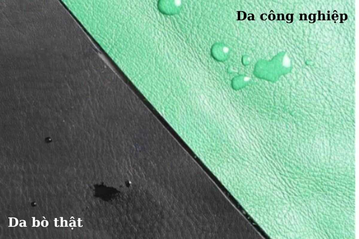 Dùng nước để kiểm tra da bò thật