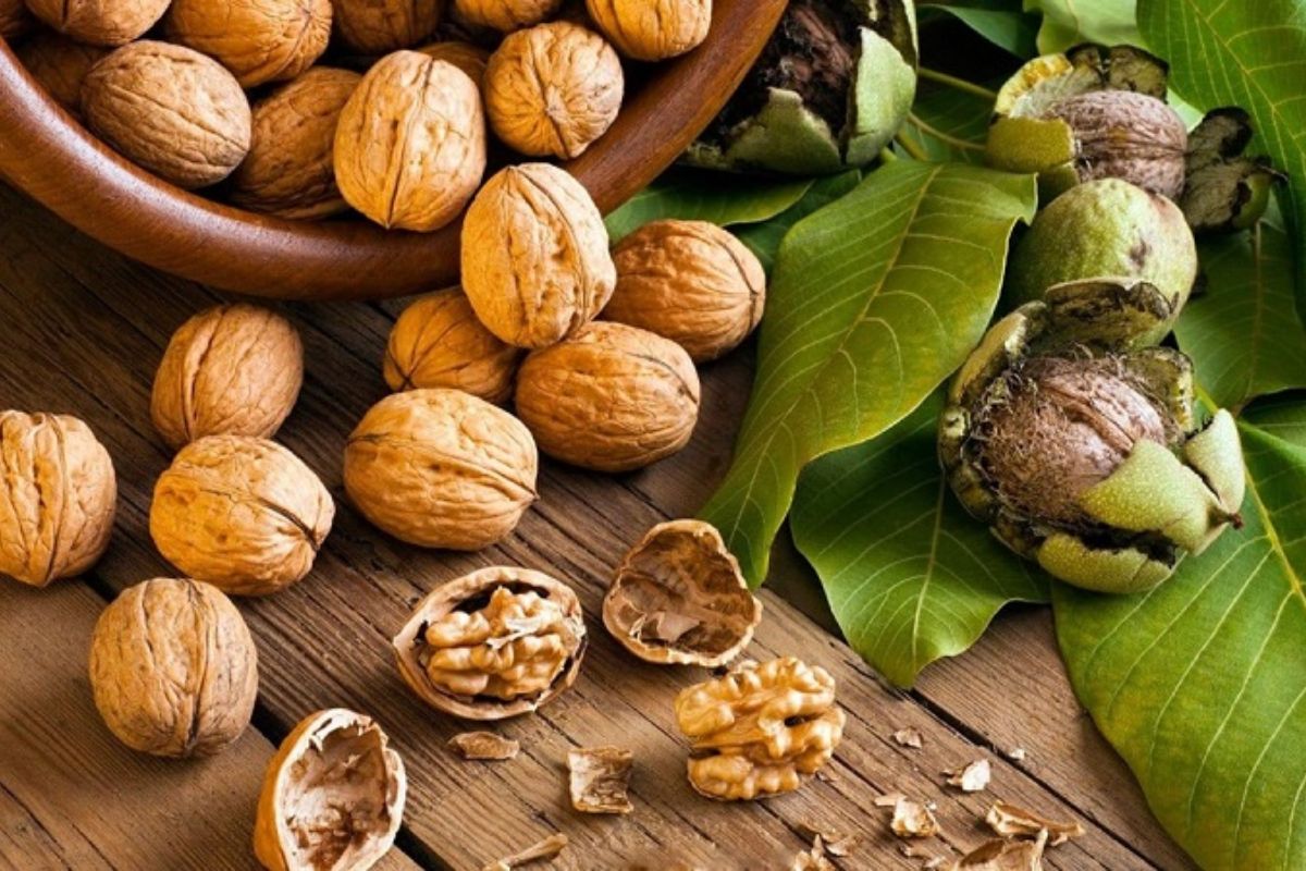 Sửa bàn giám đốc bị trầy xước bằng quả óc chó