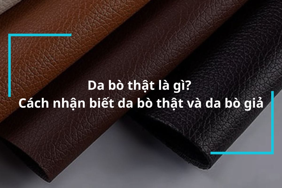 Tìm hiểu về da bò thật