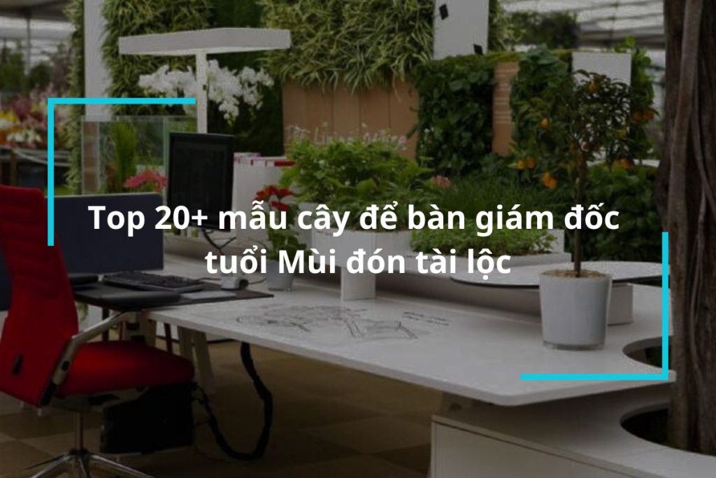 Top 20 mẫu cây để bàn giám đốc tuổi Mùi
