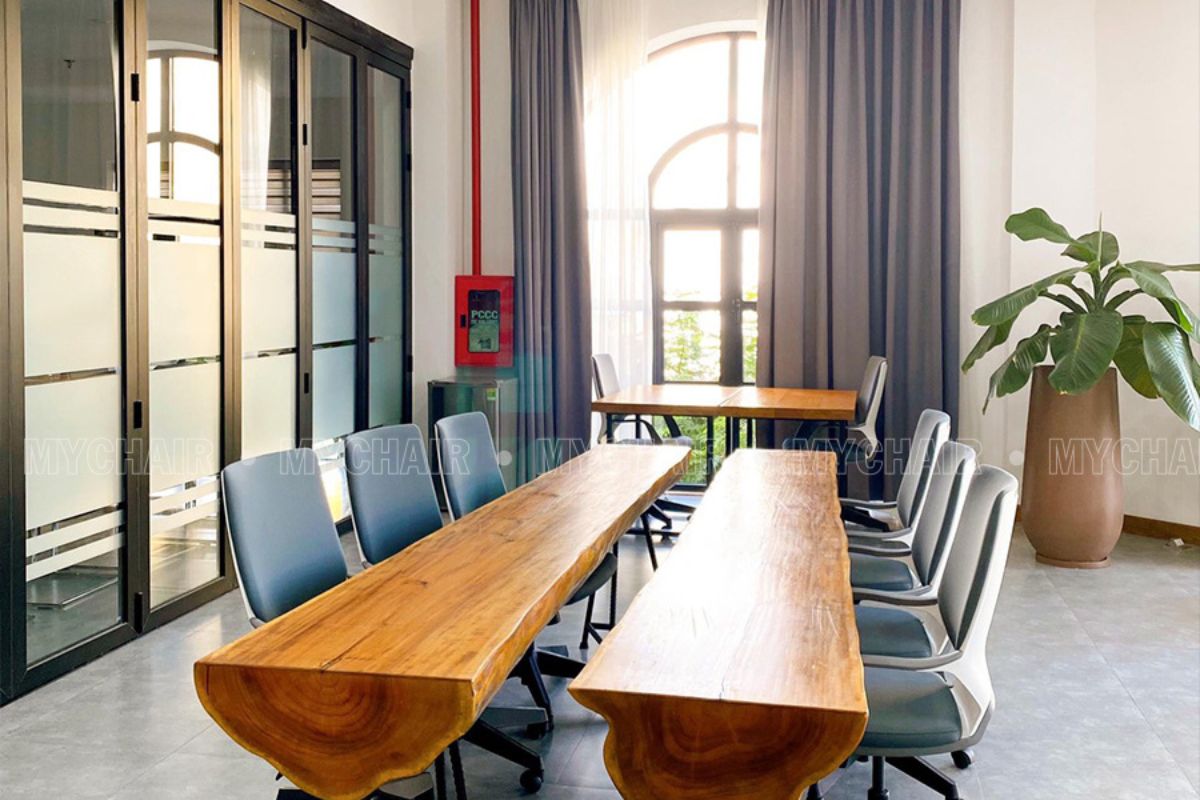 Cây xanh decor phòng họp
