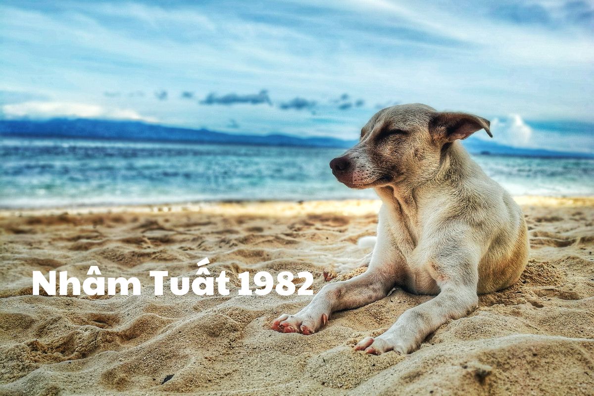 Tìm hiểu về người tuổi Nhâm Tuất