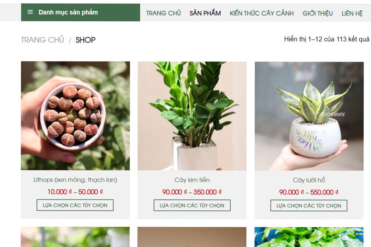 Totoro Garden - Cửa hàng cung cấp cây để bàn chất lượng