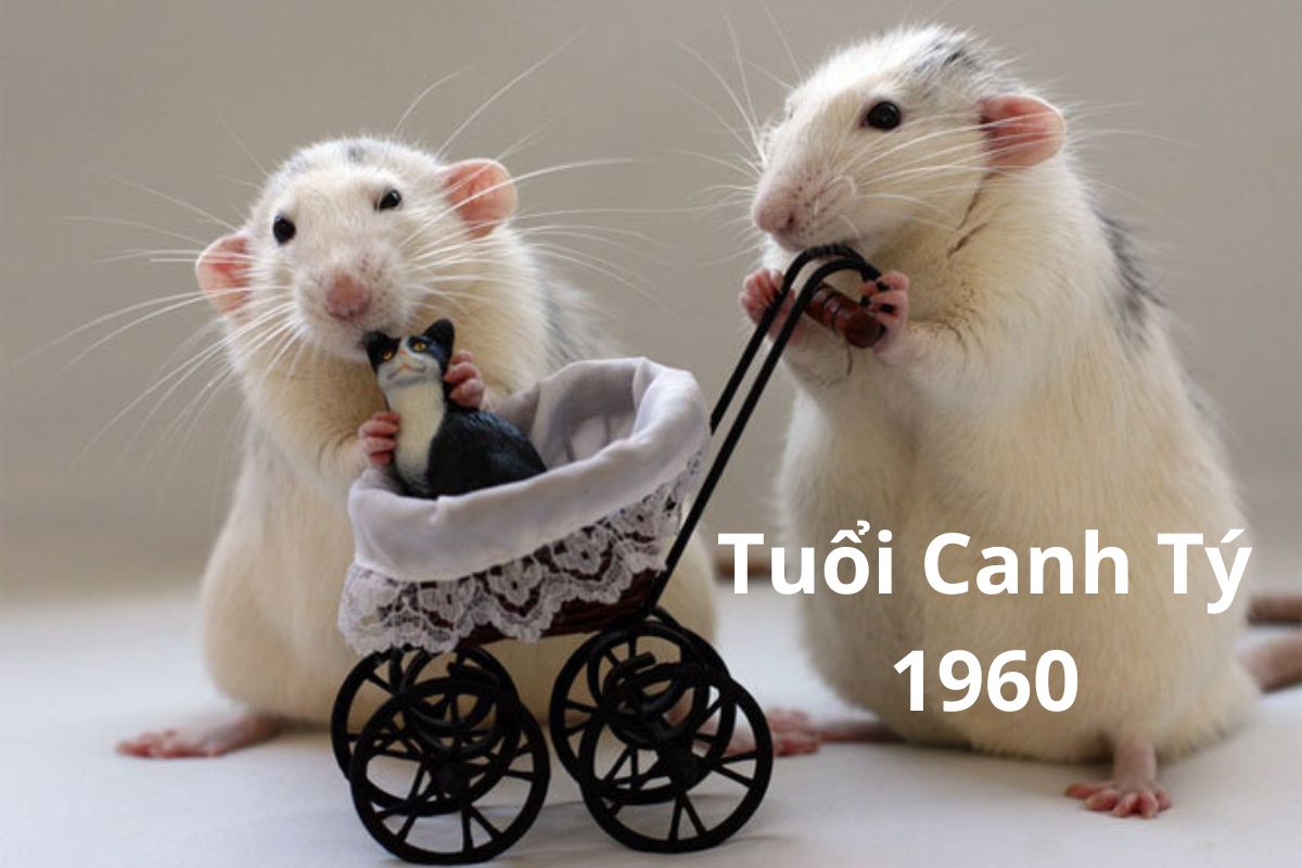 Đôi nét về người tuổi Canh Tý