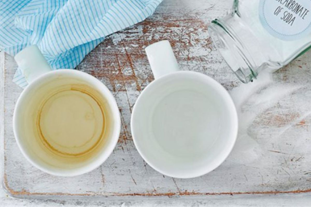 Bảo quản cốc sứ phòng họp