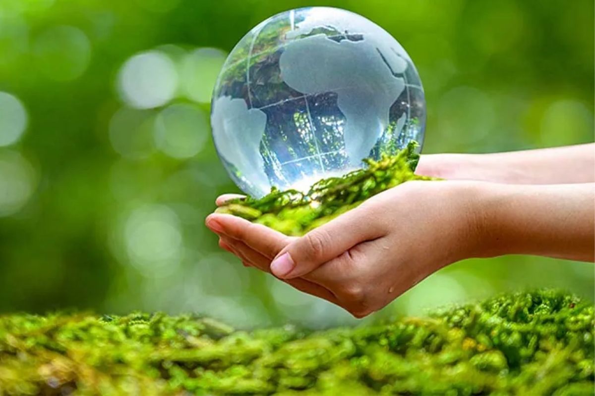 Họp trực tuyến hạn chế xả rác ra môi trường