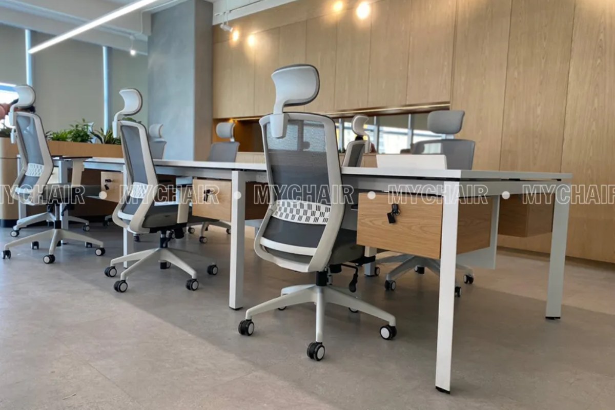 Ghế công thái học tại MyChair