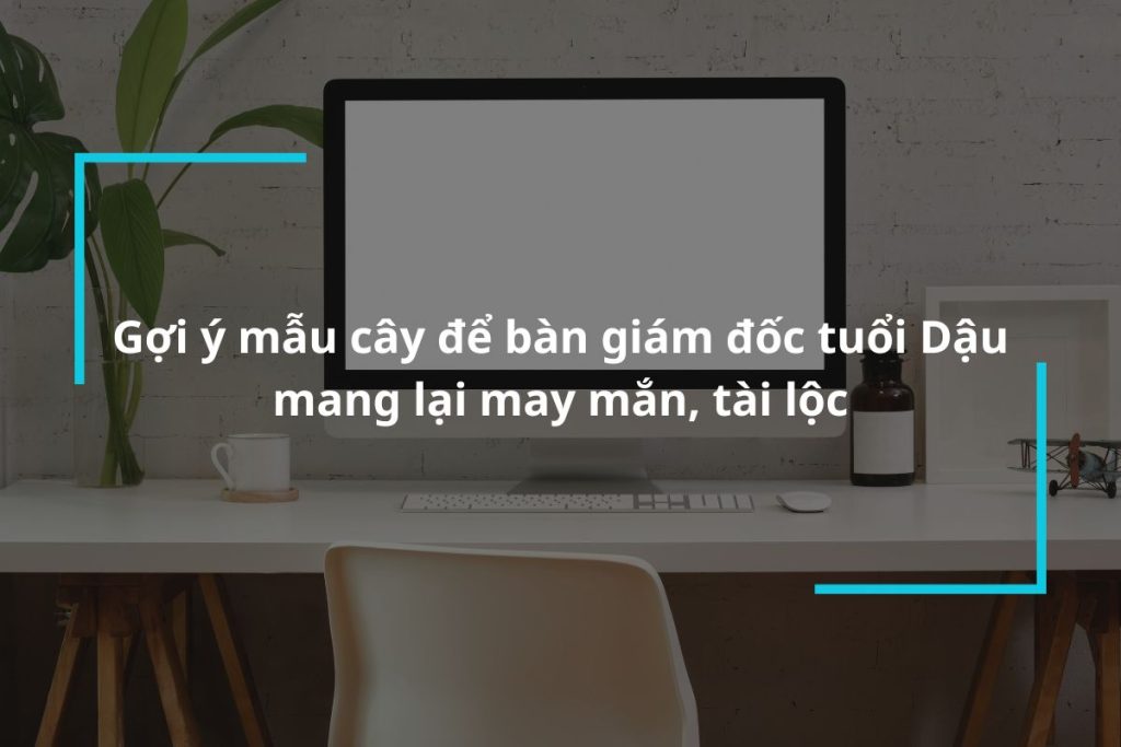 Top những mẫu cây để bàn giám đốc tuổi Dậu hợp phong thủy