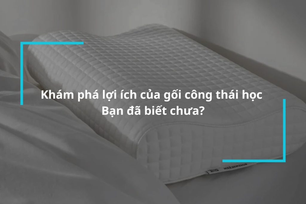 Tìm hiểu về gối công thái học