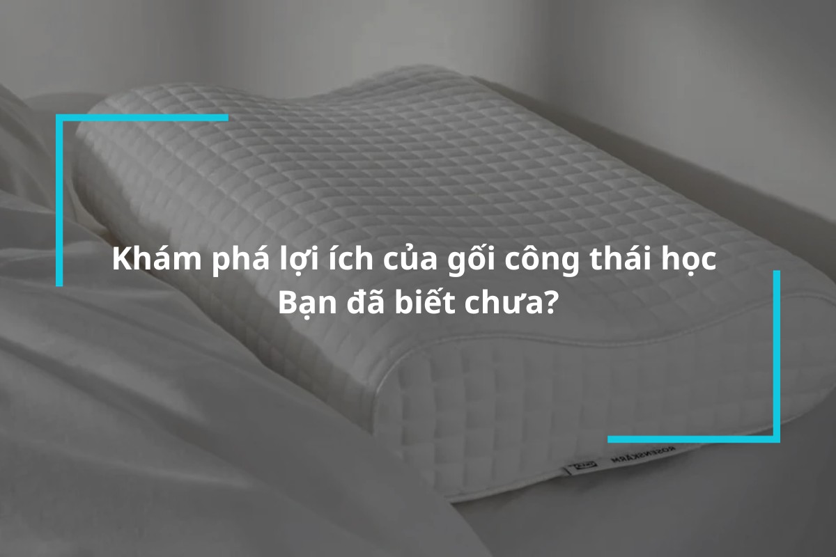 Tìm hiểu về gối công thái học