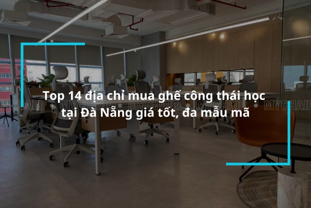 Top 14 địa chỉ mua ghế công thái học Đà Nẵng uy tín