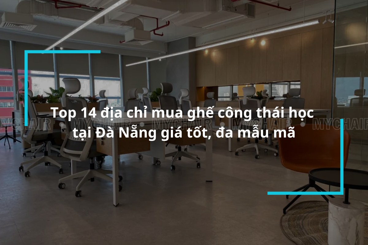 Top 14 địa chỉ mua ghế công thái học Đà Nẵng uy tín