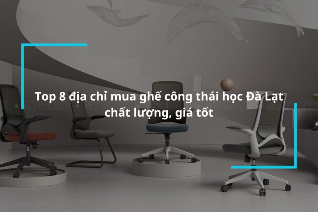 Top 8 địa chỉ mua ghế công thái học Đà Lạt