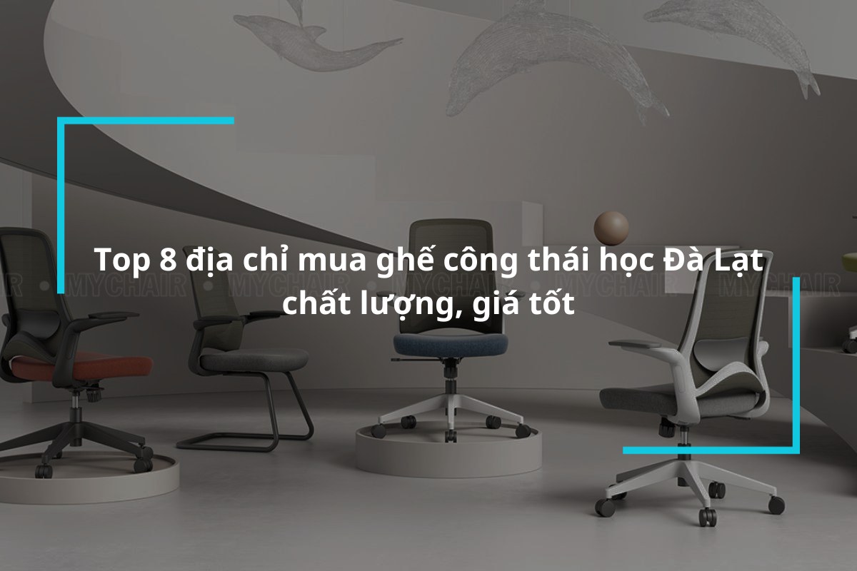 Top 8 địa chỉ mua ghế công thái học Đà Lạt
