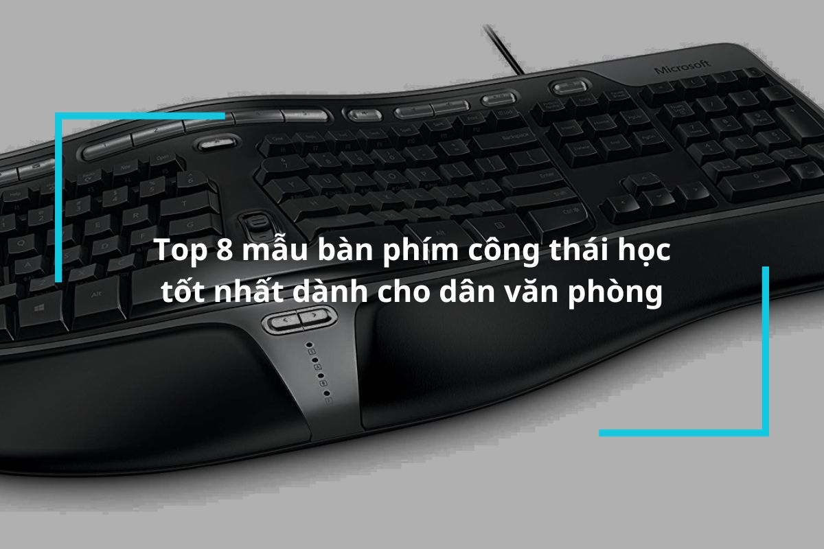 Top 8 mẫu bàn phím công thái học chất lượng