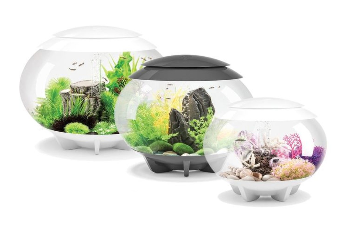 Hướng dẫn lựa chọn bể cá mini để bàn làm việc phù hợp