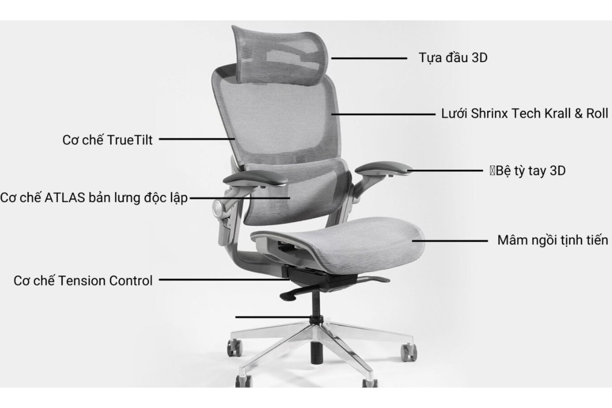 Cấu tạo của ghế công thái học văn phòng Epion Easy Chair