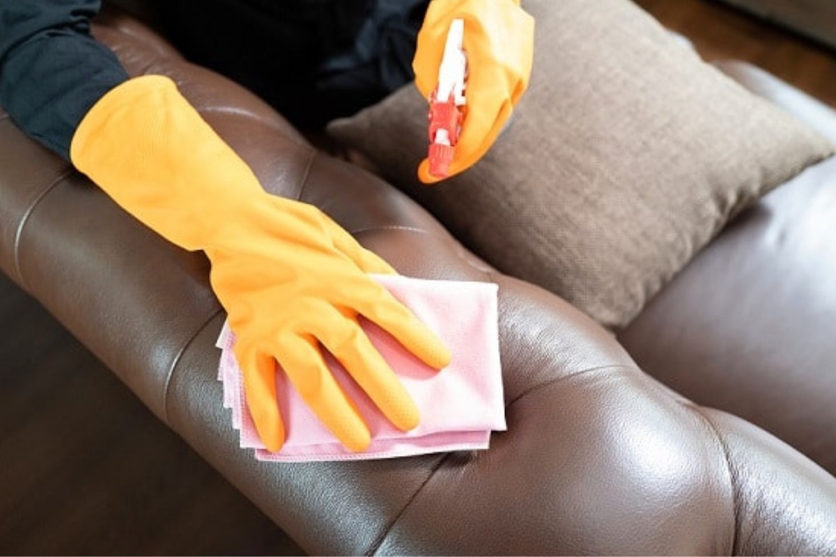Cách khắc phục sofa bị mèo cào xước sâu