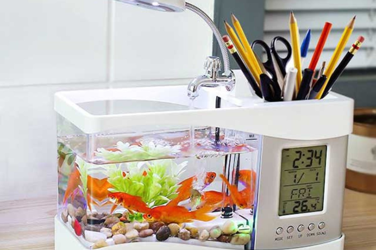 Bể cá mini để bàn 3 in 1
