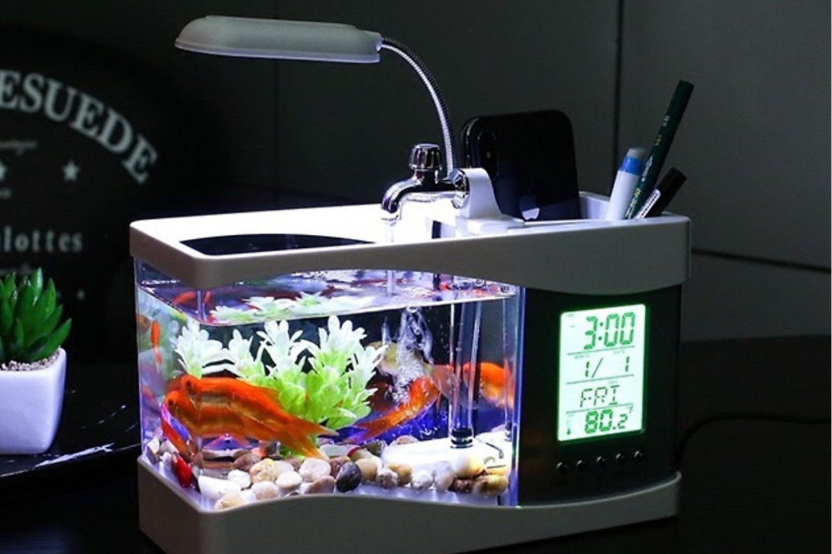 Bể cá mini để bàn 3 in 1