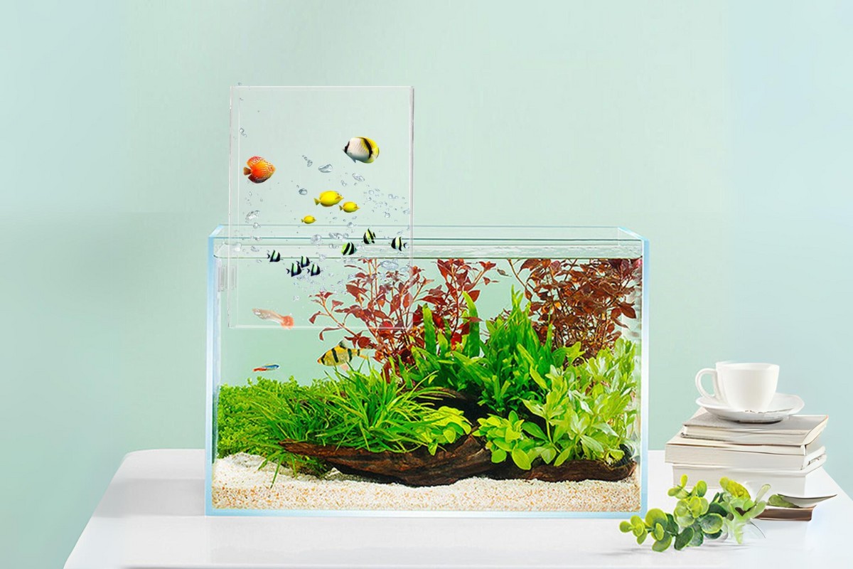 Bể cá cảnh mini có tiểu cảnh để bàn
