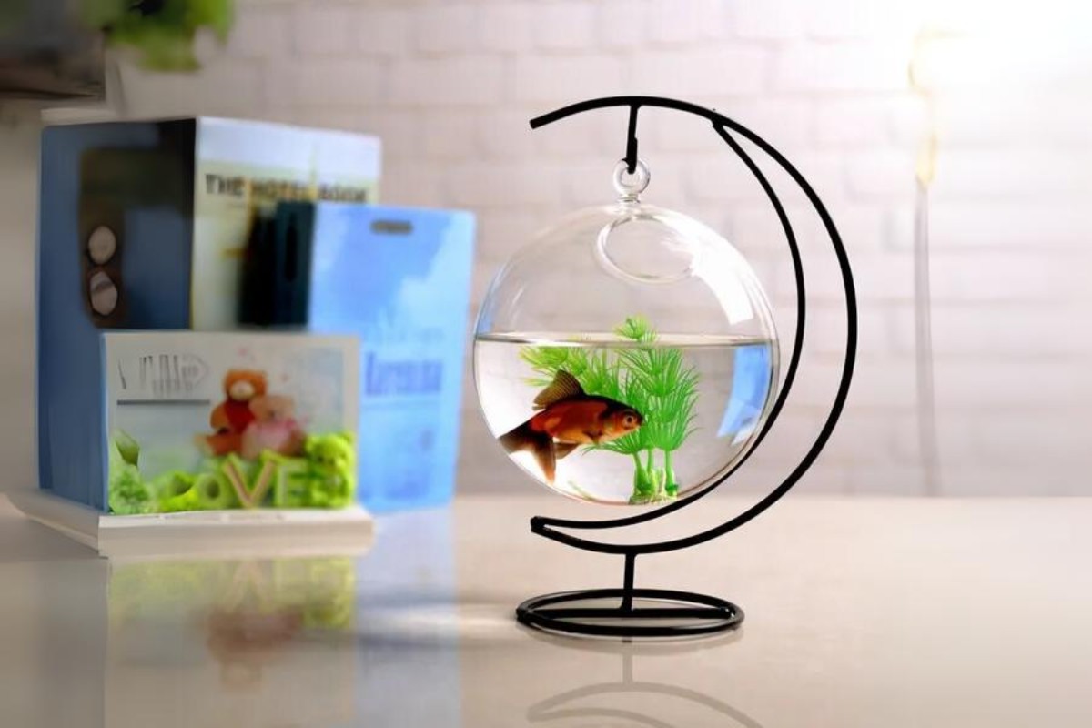 Bể cá cảnh mini treo để bàn
