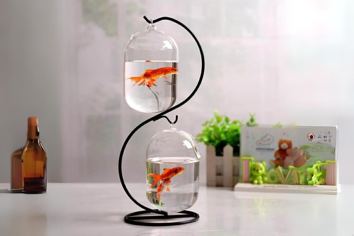 Bể cá cảnh mini treo để bàn