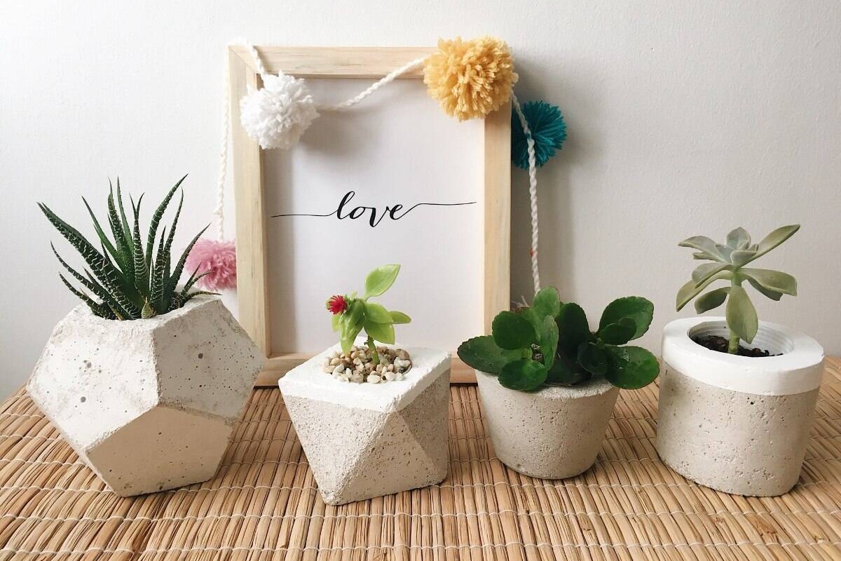 Chậu cây handmade trang trí bàn làm việc đẹp mắt