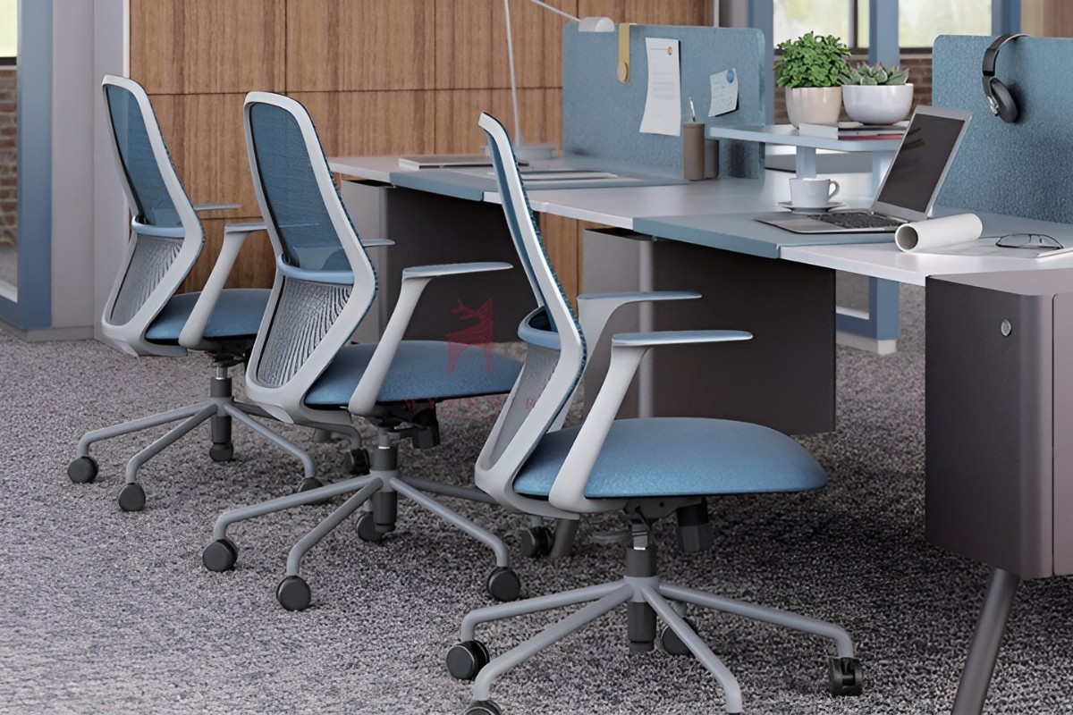 Ghế công thái học tại MyChair
