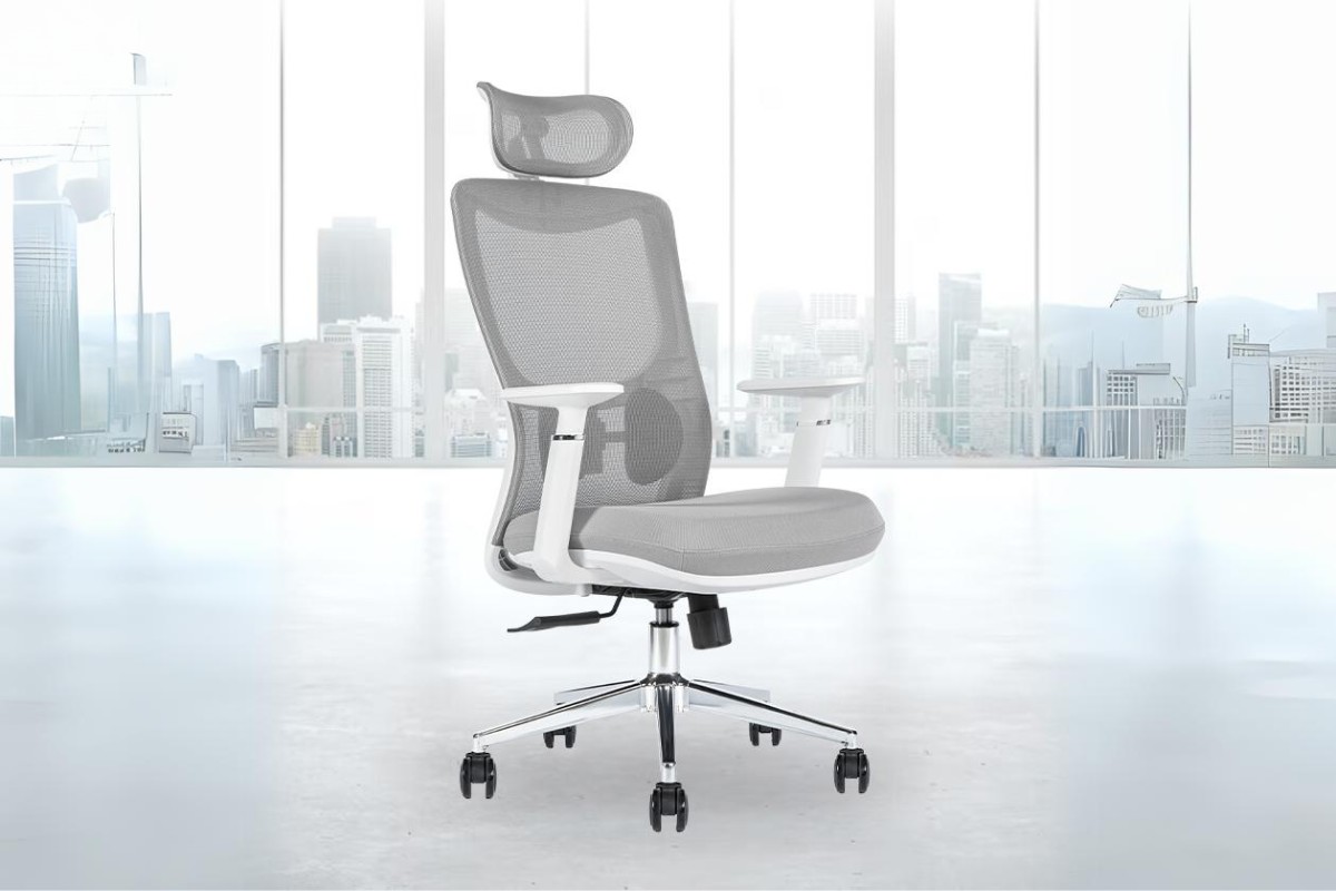 Ghế lưới công thái học Ergonomic Win W01A