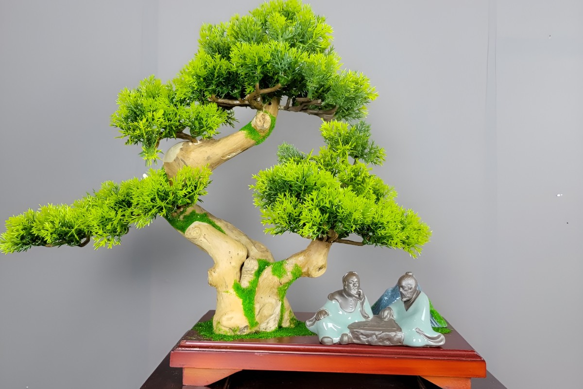 Tiểu cảnh Bonsai mini để bàn làm việc